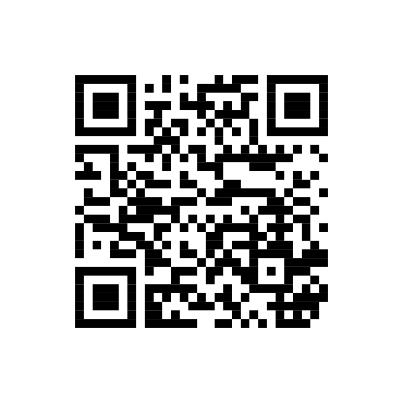 Cod QR către profilul Instagram lizzieconcept2026